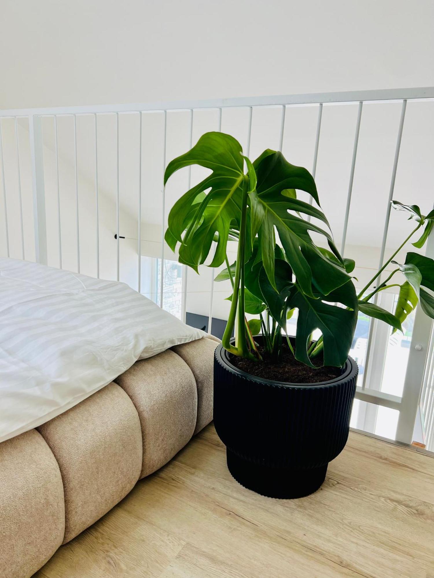 Pálavské Apartmány Pavlov Esterno foto